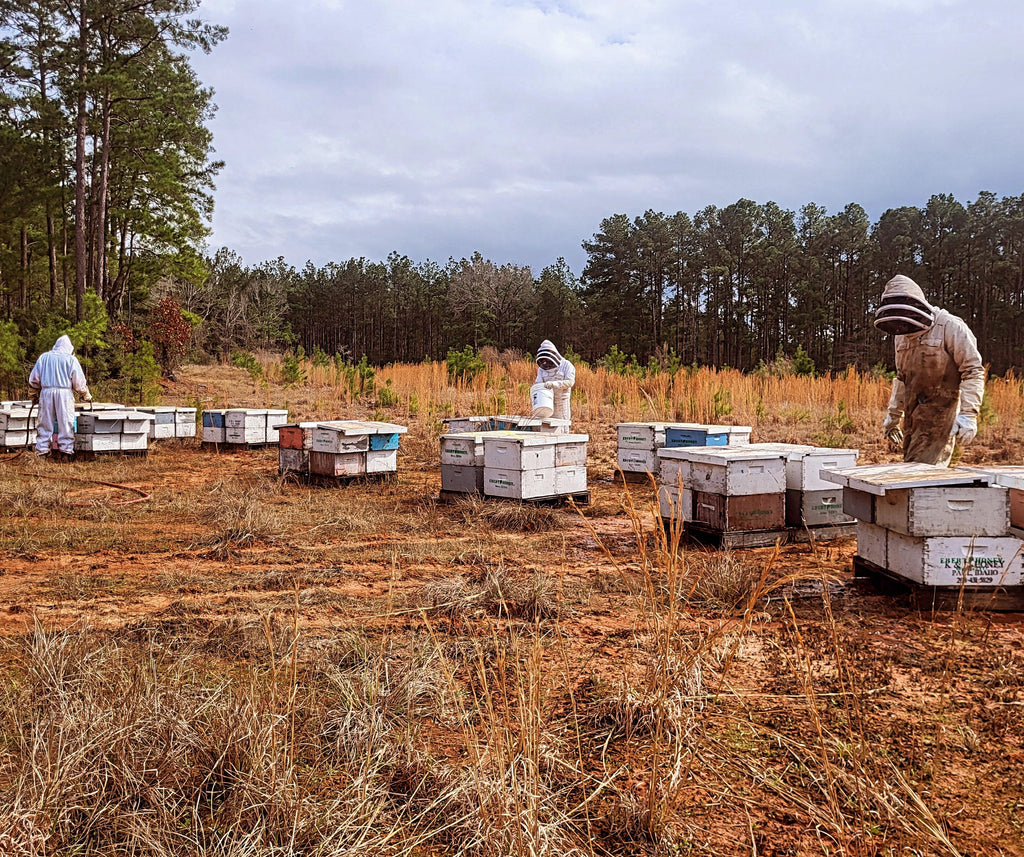 Ebert beekeepers in East Texas 2025