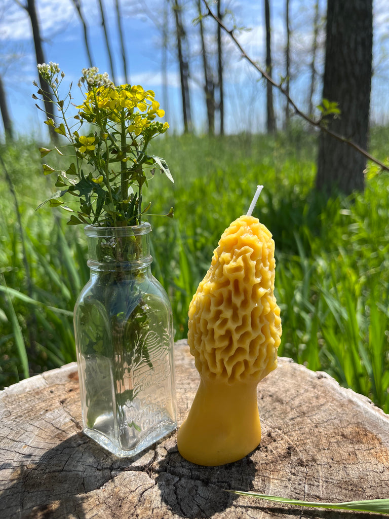 Pure Beeswax Morel Candle